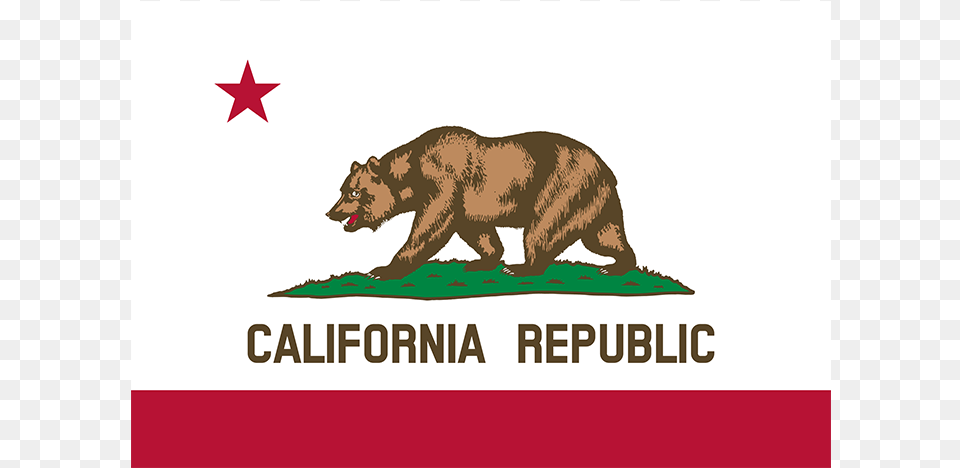 California Flag, Animal, Bear, Mammal, Wildlife Free Transparent Png