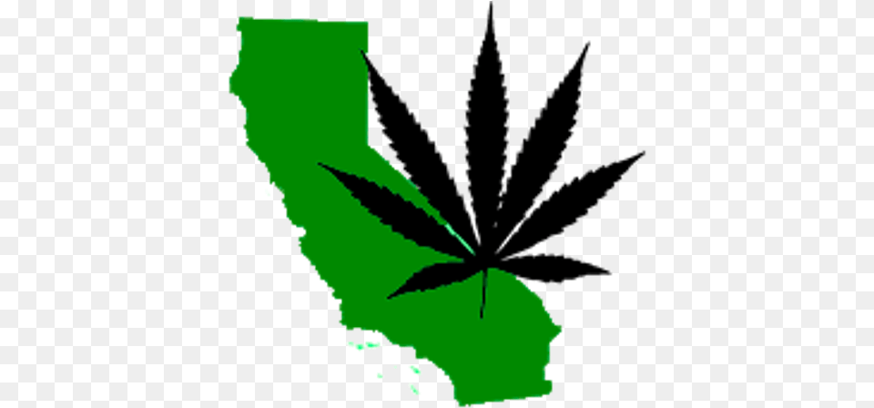 California Has No Clue How Much Money It39s Making From Pot Leaf, Green, Plant, Weed, Herbal Png Image