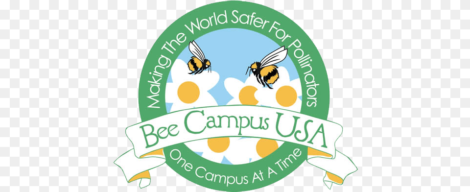 California Native Bees Bee Campus Usa, Animal, Honey Bee, Insect, Invertebrate Free Png