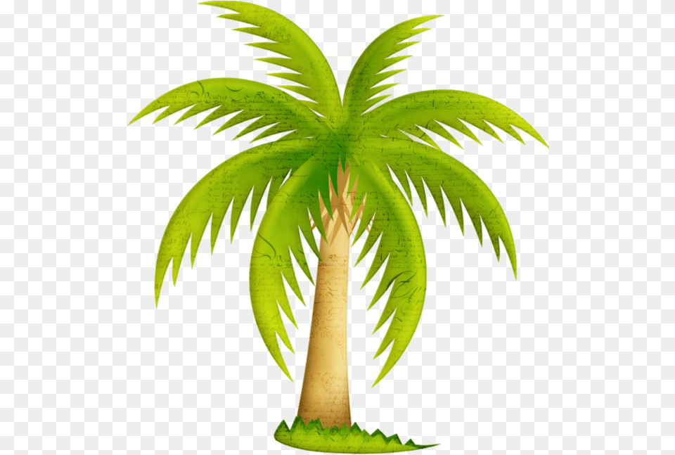 California Palm Palm Trees Clip Art Mexican Fan Palm Date Tree Clipart, Palm Tree, Plant, Leaf Free Png