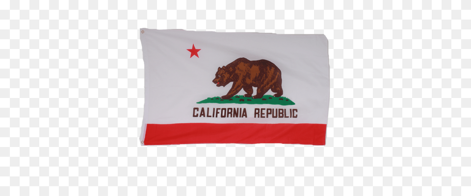 California Republic Bear Flag, Animal, Mammal, Wildlife Free Png Download