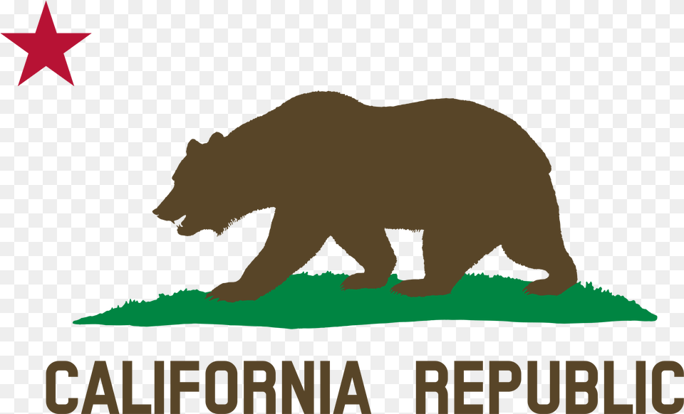 California Republic Flag, Animal, Bear, Mammal, Wildlife Png