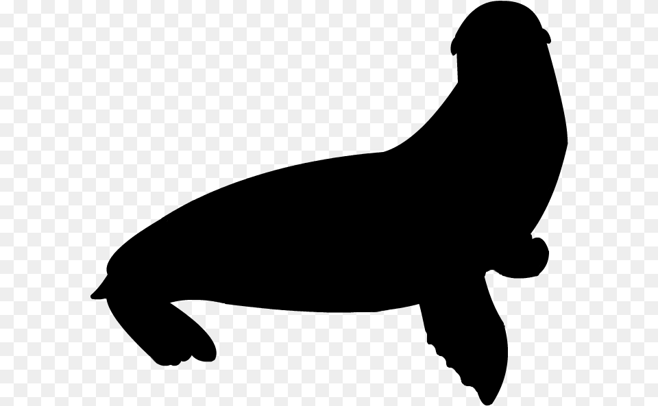 California Sea Lion Silhouette, Gray Free Png Download