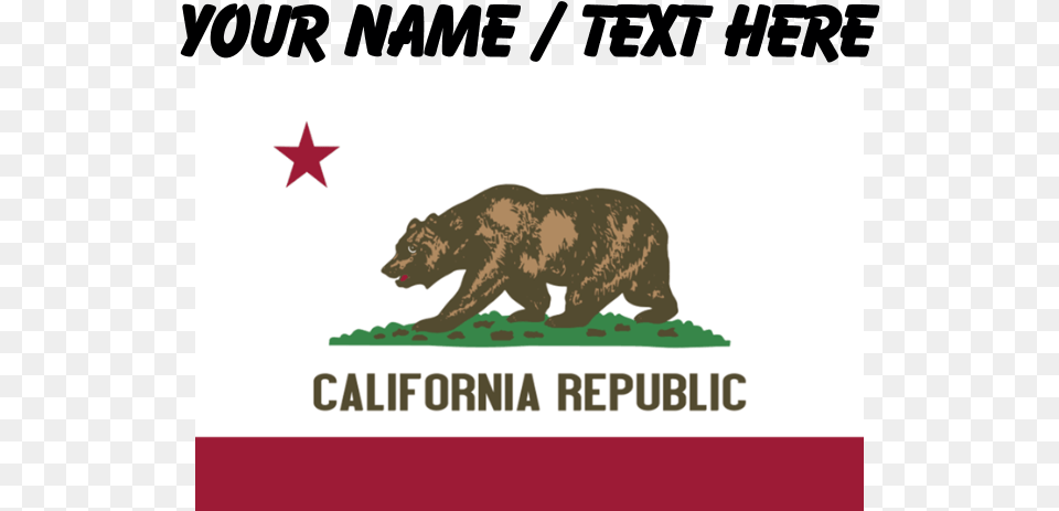 California State Flag, Animal, Bear, Mammal, Wildlife Free Transparent Png