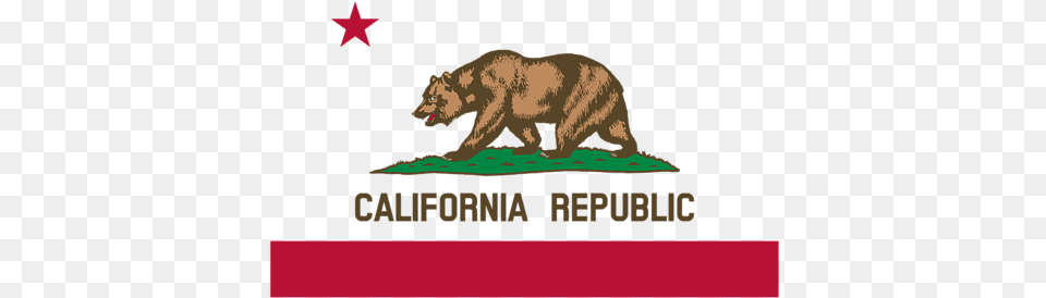 California State Flag Large, Animal, Bear, Mammal, Wildlife Png