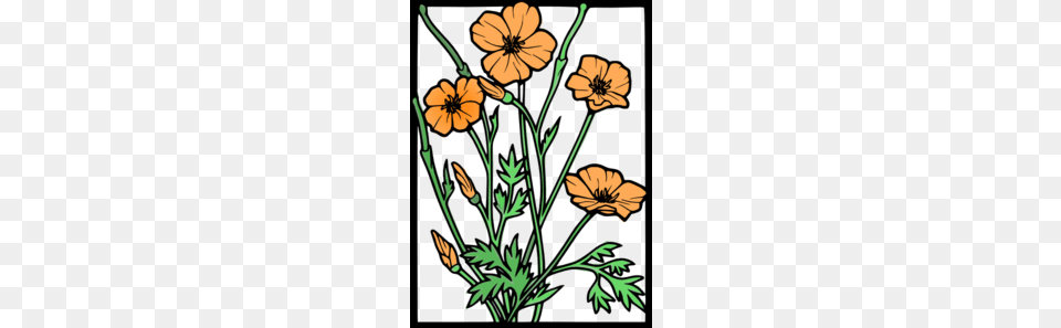 California State Flower Clipart, Art, Floral Design, Graphics, Pattern Free Png Download