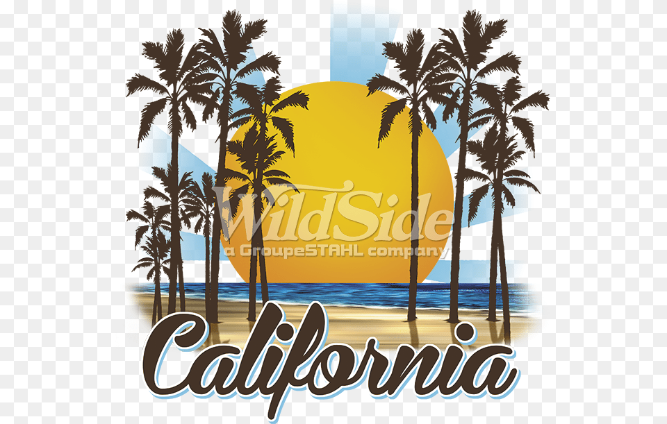 California Sunny Beach Stock Transfer Design, Tree, Summer, Tropical, Plant Free Png Download