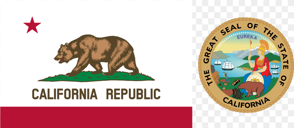 California Svg Black And White Library California State Flag, Animal, Bear, Mammal, Wildlife Png