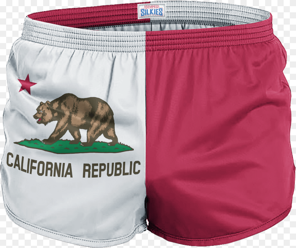 California Underpants, Animal, Bear, Clothing, Mammal Png