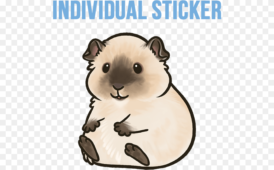 Californian Guinea Pig Sticker 3 Sizes Available Cartoon, Animal, Mammal, Rodent, Wildlife Free Png