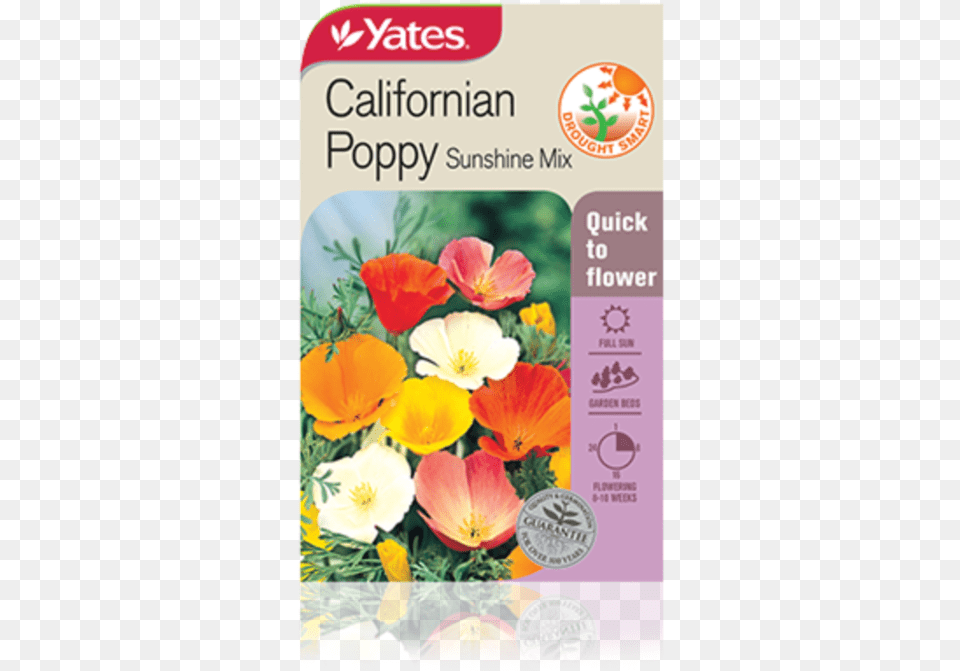 Californian Poppy Sunshine Mix Plants For Cottage Garden Nz, Flower, Petal, Plant, Text Png