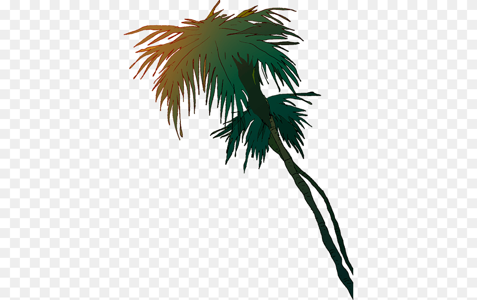 Californium Arte, Fireworks, Palm Tree, Plant, Tree Png