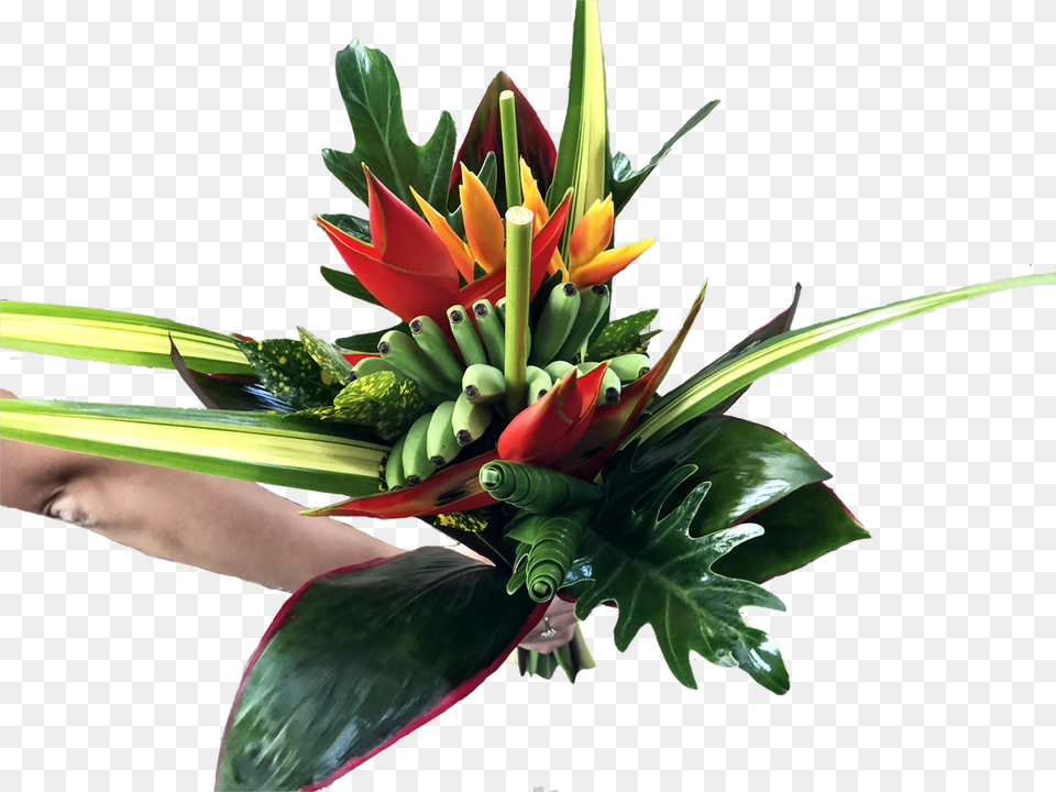 Calipso Medium Tropical Centerpieces, Flower Bouquet, Plant, Flower, Flower Arrangement Free Transparent Png