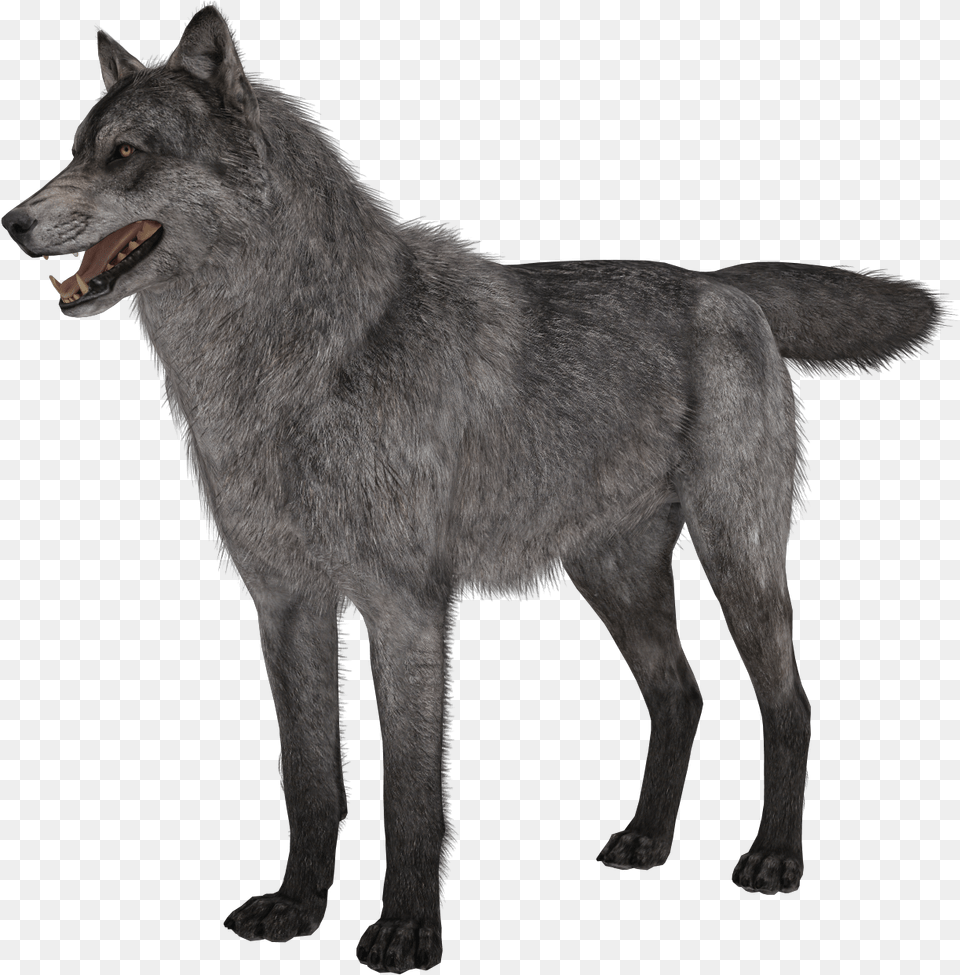 Call Of Duty Ghosts Riley Call Of Duty Ghosts Wolves, Animal, Canine, Dog, Mammal Free Png