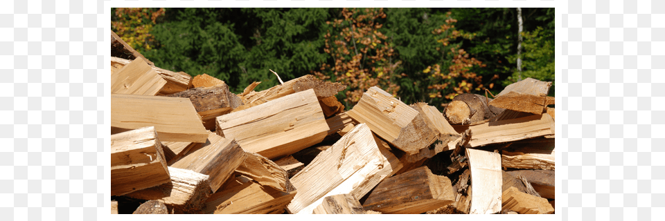 Call Today For The Tree Removal Service That Protects Wood, Lumber, Plywood Png