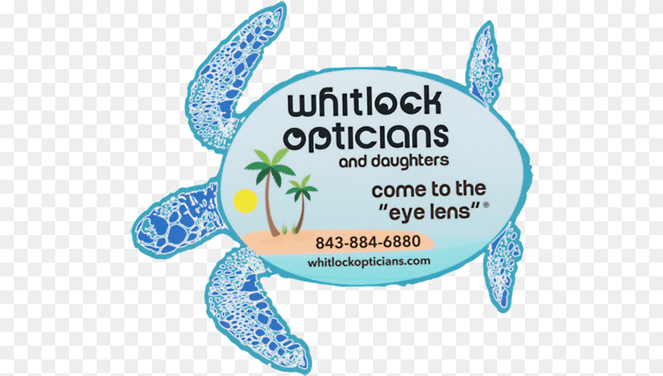 Call Us Today Whitlock Opticians, Animal, Reptile, Sea Life, Sea Turtle Png