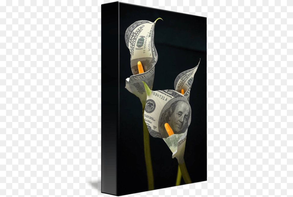 Calla Lilly 100 Dollar Bills By John Bradley Cash, Flower, Plant, Money, Cup Free Transparent Png