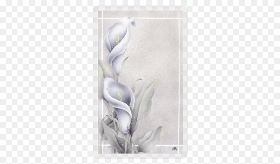 Calla Lily Calla Lilies Series Personalized Prayer Cards Priced, Flower, Plant, Art, Painting Free Transparent Png