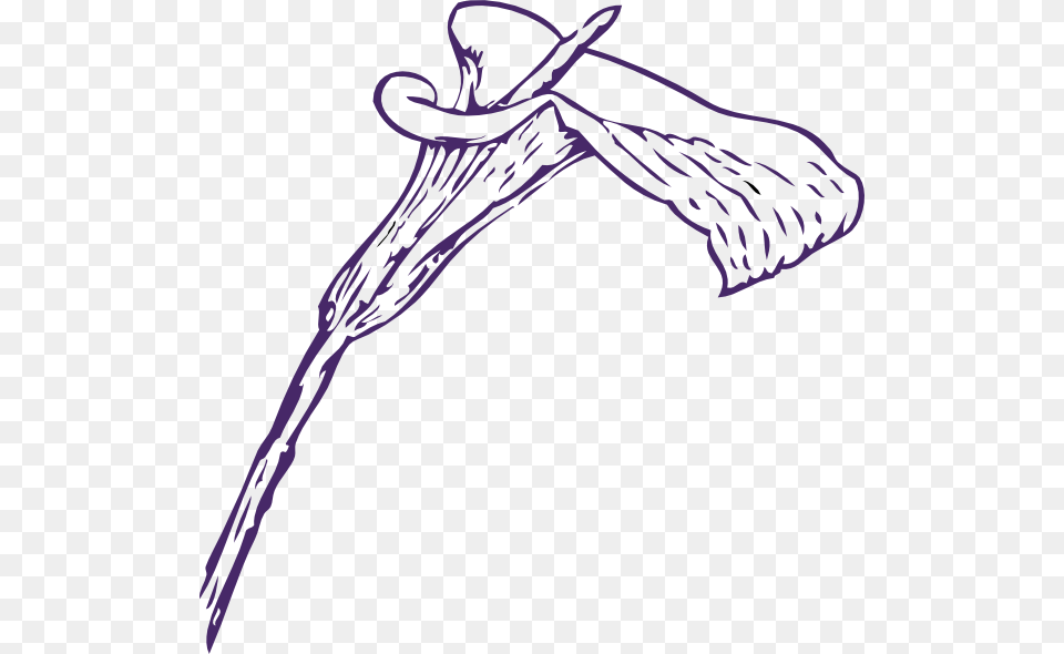 Calla Lily Clip Art, Clothing, Hat, Drawing, Flower Free Png Download