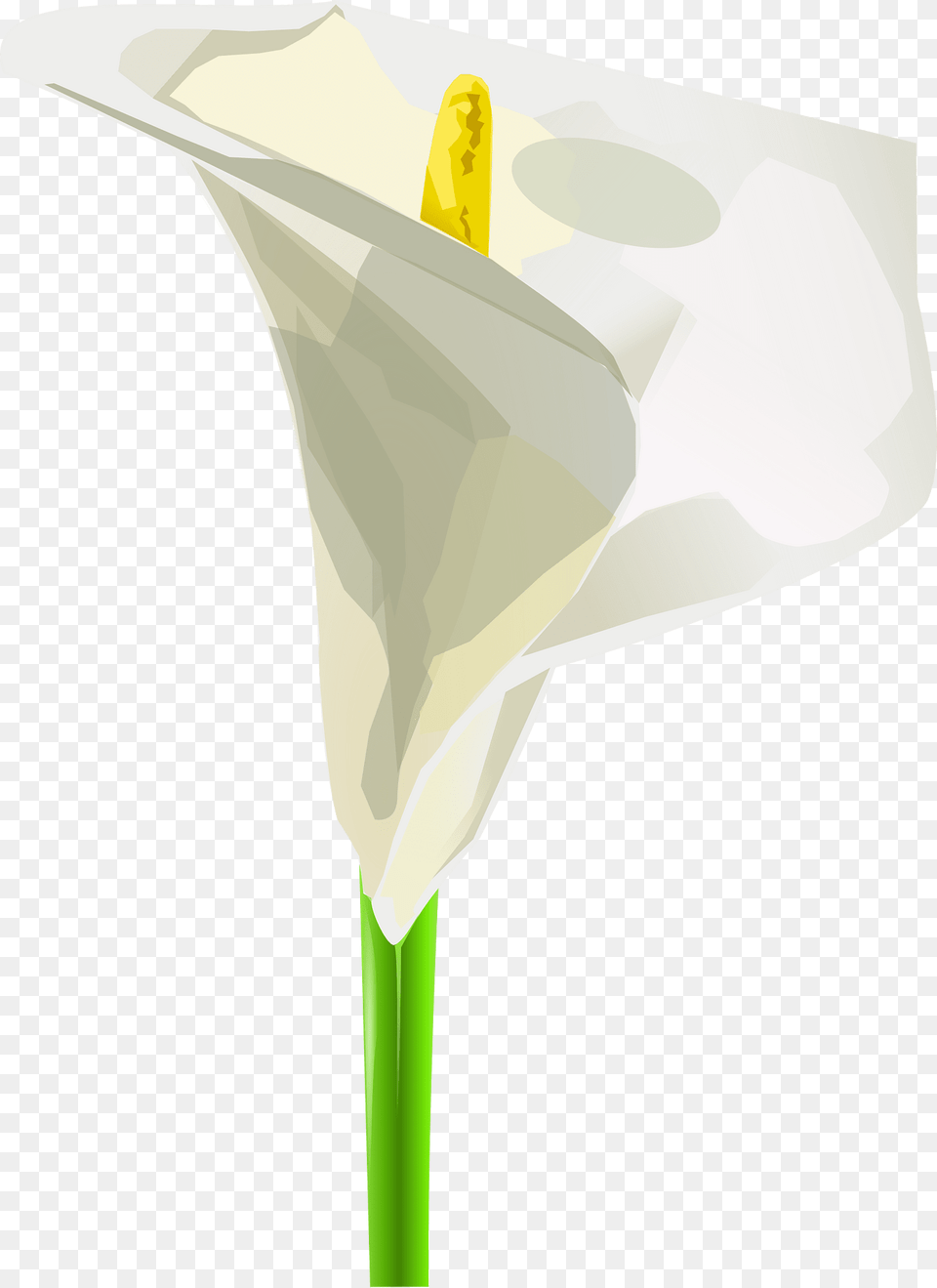 Calla Lily Clipart, Flower, Plant, Petal Free Png Download