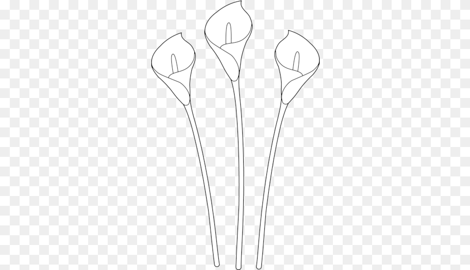 Calla Lily Clipart Line Drawing Easy Drawing Flowers Lily, Flower, Petal, Plant, Anther Png