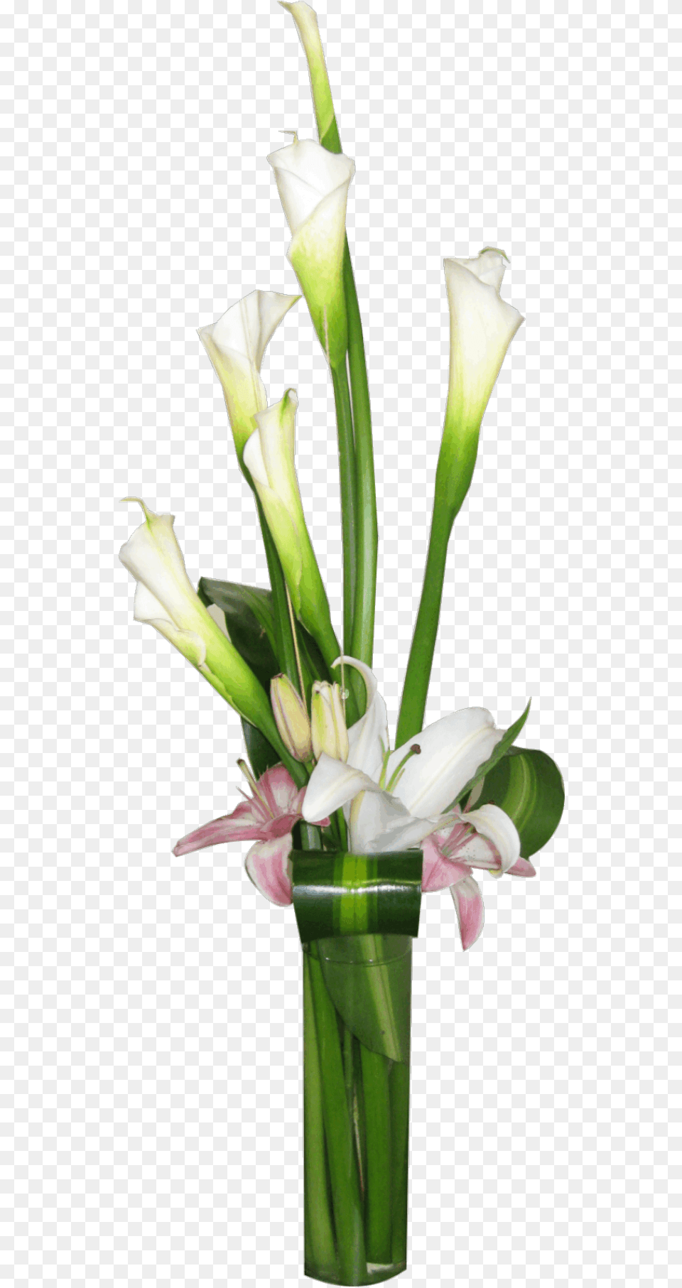 Calla Lily Flower Arrangements Modern Flower Vase, Flower Arrangement, Flower Bouquet, Plant Free Png