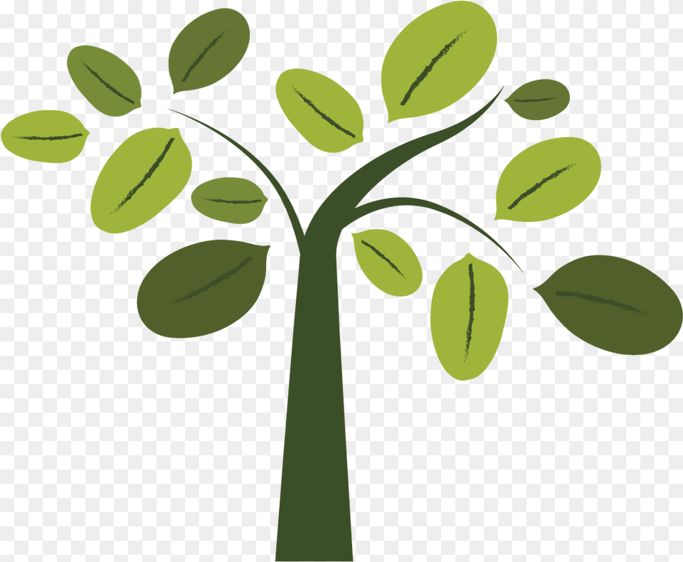 Called To Lead, Green, Leaf, Plant, Vegetation Free Transparent Png