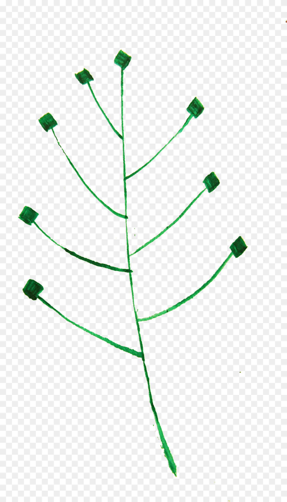 Calligraphic Illustration Leaf Twig Plant 1 Clip Christmas Tree Free Png