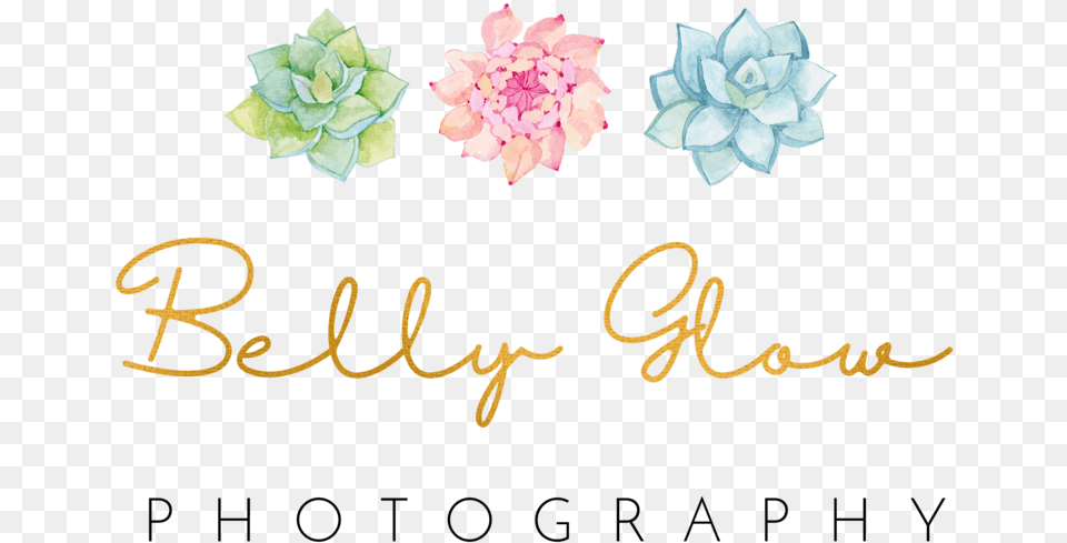 Calligraphy, Dahlia, Flower, Plant, Petal Free Png Download