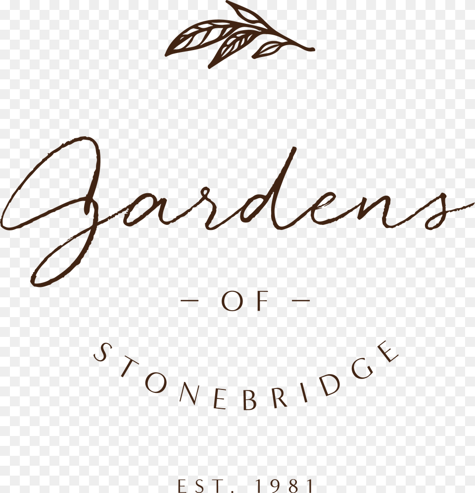 Calligraphy, Handwriting, Text Png Image