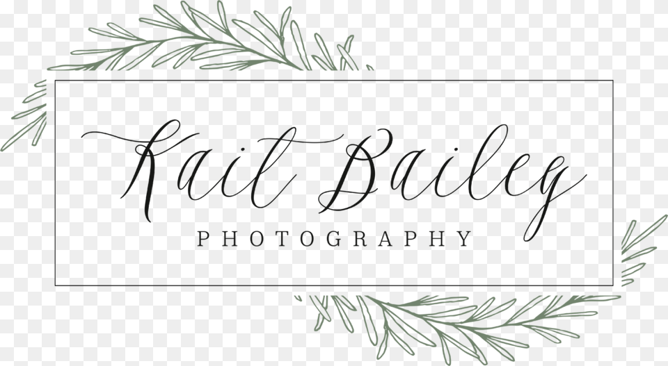 Calligraphy, Plant, Tree, Blackboard, Conifer Png Image