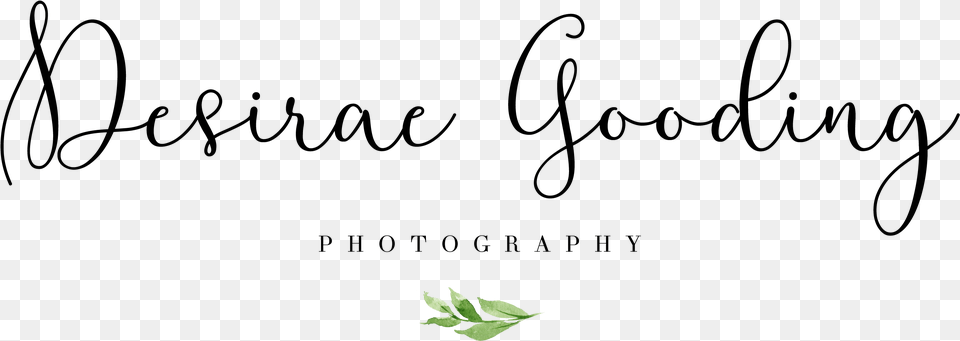 Calligraphy, Art Png Image