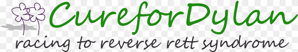Calligraphy, Handwriting, Text Png Image