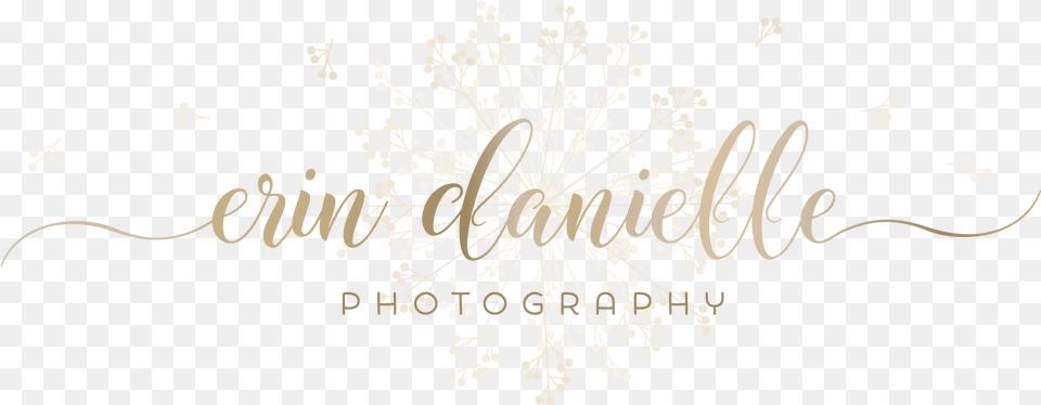 Calligraphy, Chandelier, Lamp, Flower, Plant Free Transparent Png