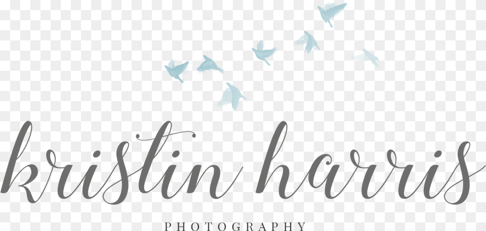 Calligraphy, Text, Person Free Transparent Png