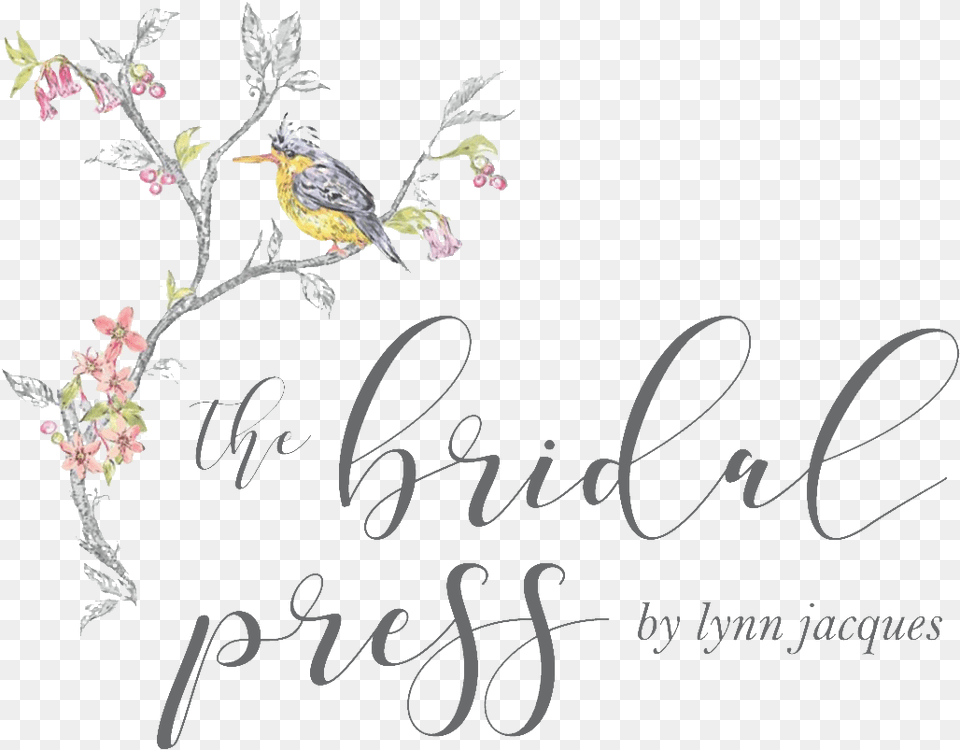 Calligraphy, Animal, Bird, Finch, Text Free Transparent Png