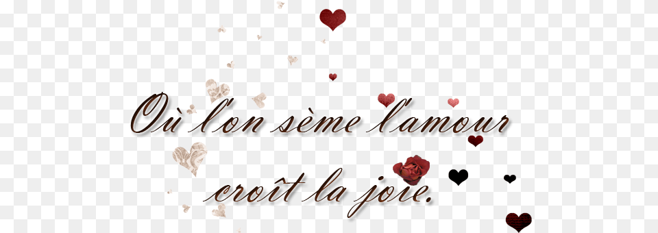 Calligraphy, Text Png