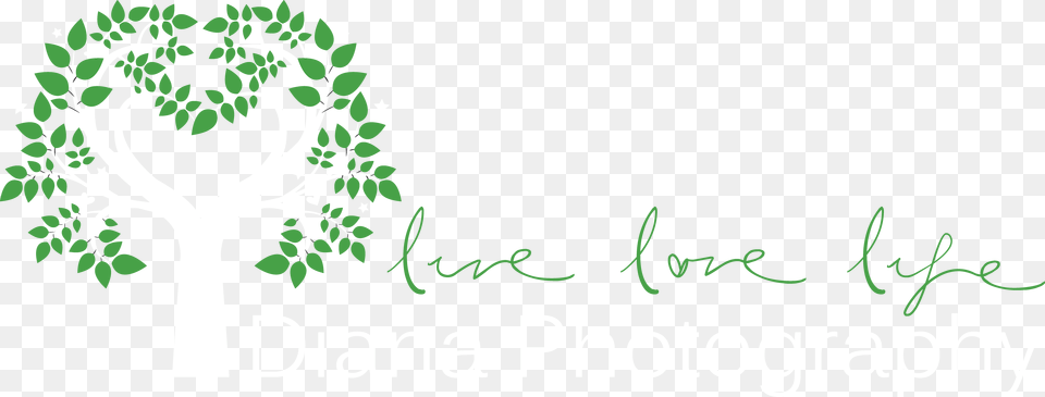 Calligraphy, Art, Plant, Floral Design, Graphics Free Png