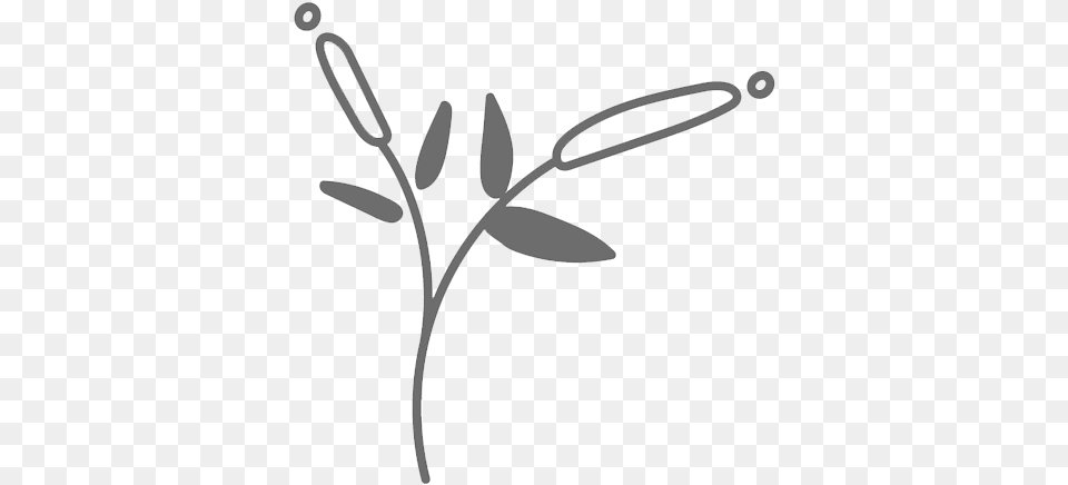 Calligraphy, Flower, Plant, Bow, Weapon Png Image