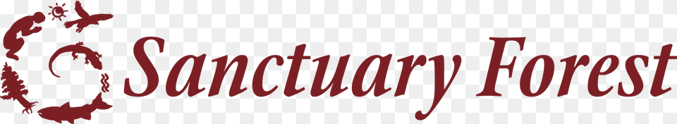 Calligraphy, Text Free Png