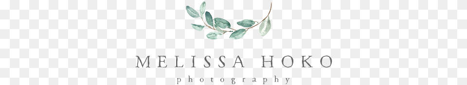 Calligraphy, Accessories, Leaf, Plant, Jewelry Png Image