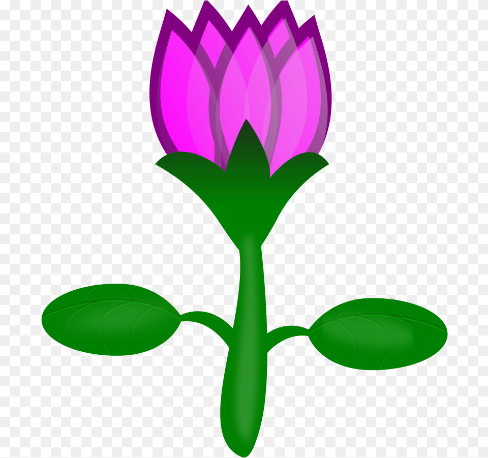 Calligraphy Lotus Medium 600pixel Clipart Vector Clip Cartoon Plants Transparent Background, Flower, Plant, Purple, Green Free Png