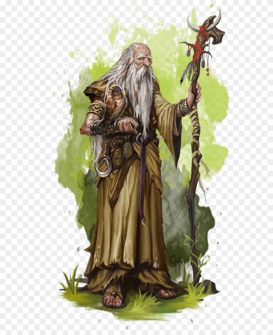 Calling Upon Primal Sources Of Power Druids Form A Character Dampd, Adult, Wedding, Person, Female Png Image