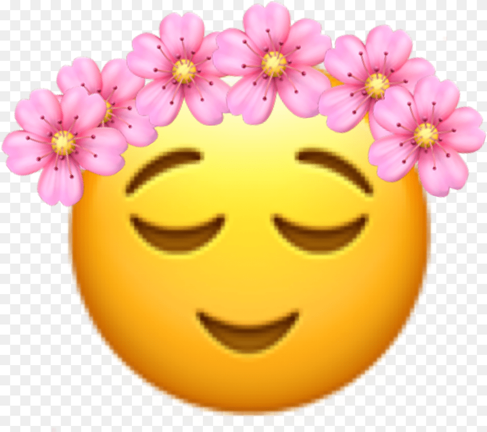 Calm Flowers Cuteeye Emoji Freetoedit Smiley, Flower, Plant, Petal, Person Free Transparent Png