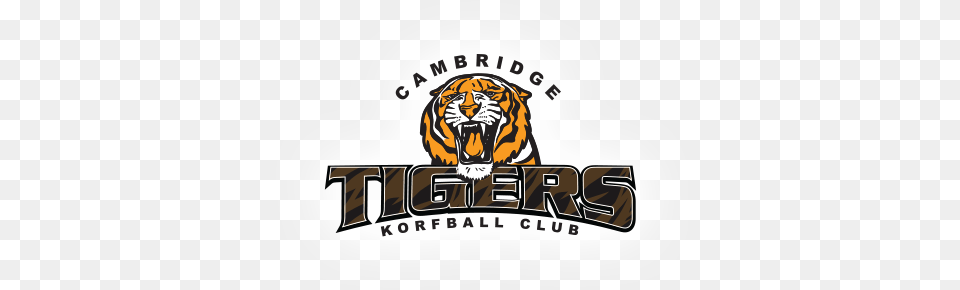 Cam Tigers Logo Phoenix Logo Cambridge Tigers Korfball, Animal, Zoo, Mammal, Tiger Free Png Download