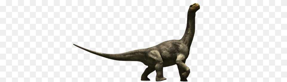 Camarasaurus, Animal, Dinosaur, Reptile, T-rex Png Image