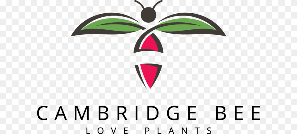 Cambridge Bee, Sprout, Plant, Bud, Flower Free Transparent Png