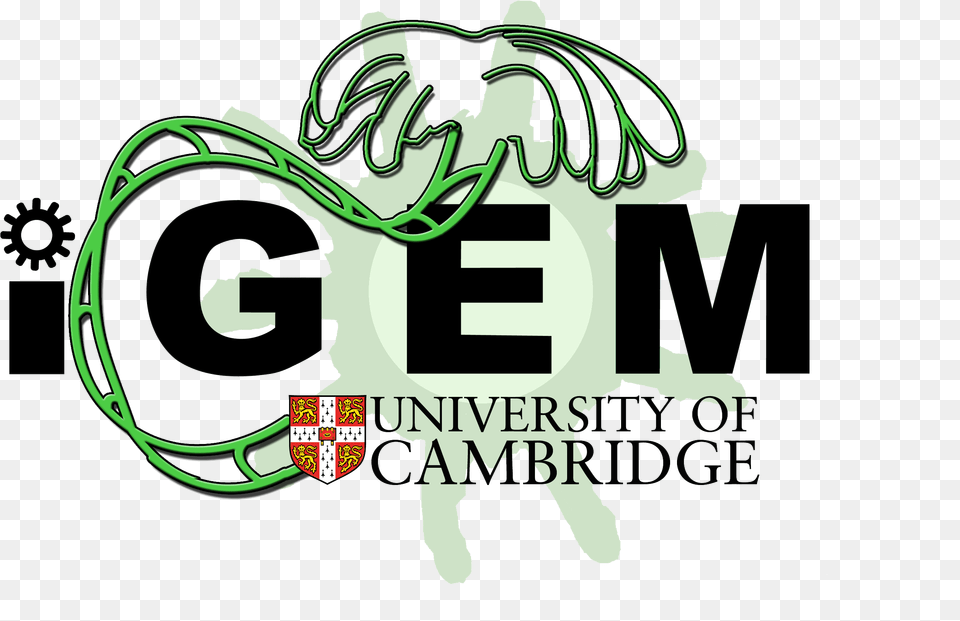 Cambridge Jicbackground On Byrophytes Logo, Green, Art, Graphics, Text Free Transparent Png