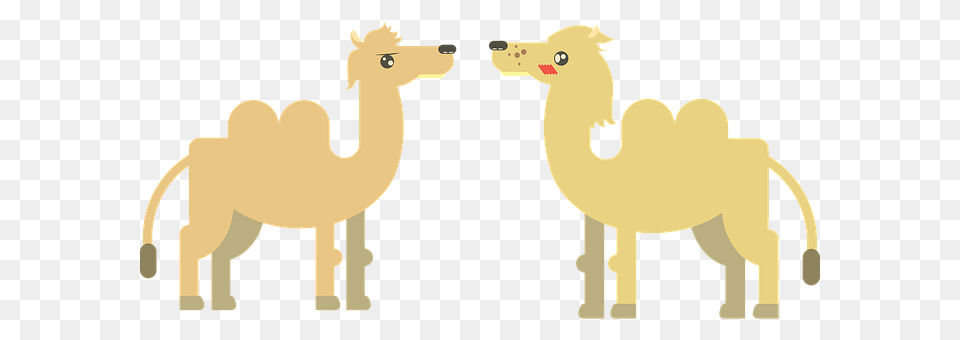 Camel Animal, Mammal, Kangaroo, Horse Free Transparent Png