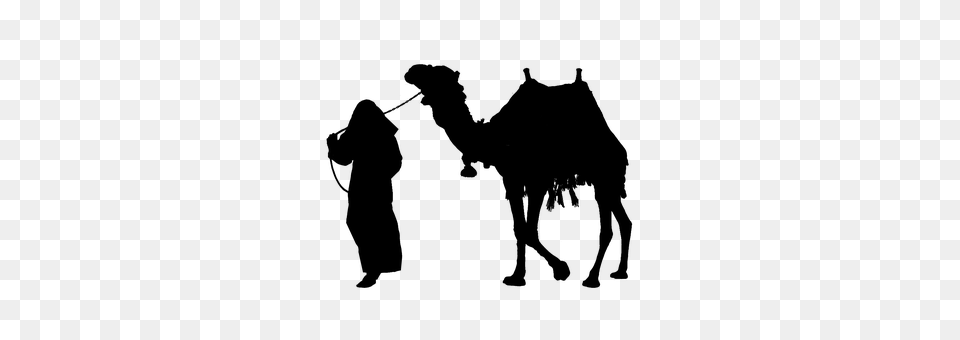 Camel Gray Png